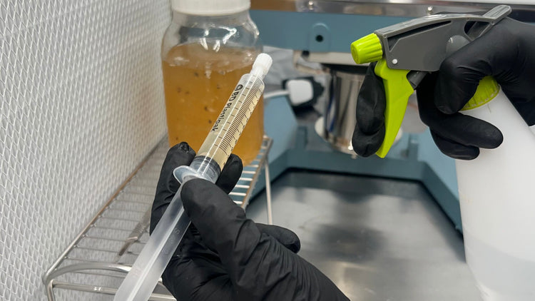 Liquid Cultures For Mushroom Cultivation