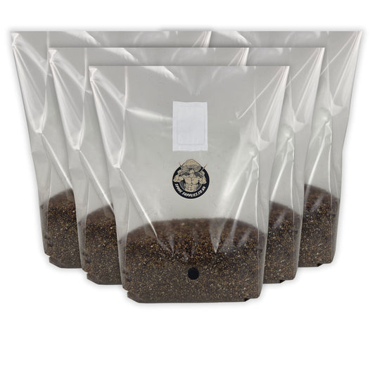 wholesale 3kg sterile all in one bags for wholesale mushroom growing