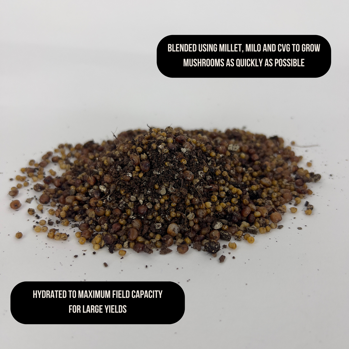 millet, milo and cvg substrate hydrated maximum field capacity, grows mushrooms quickly