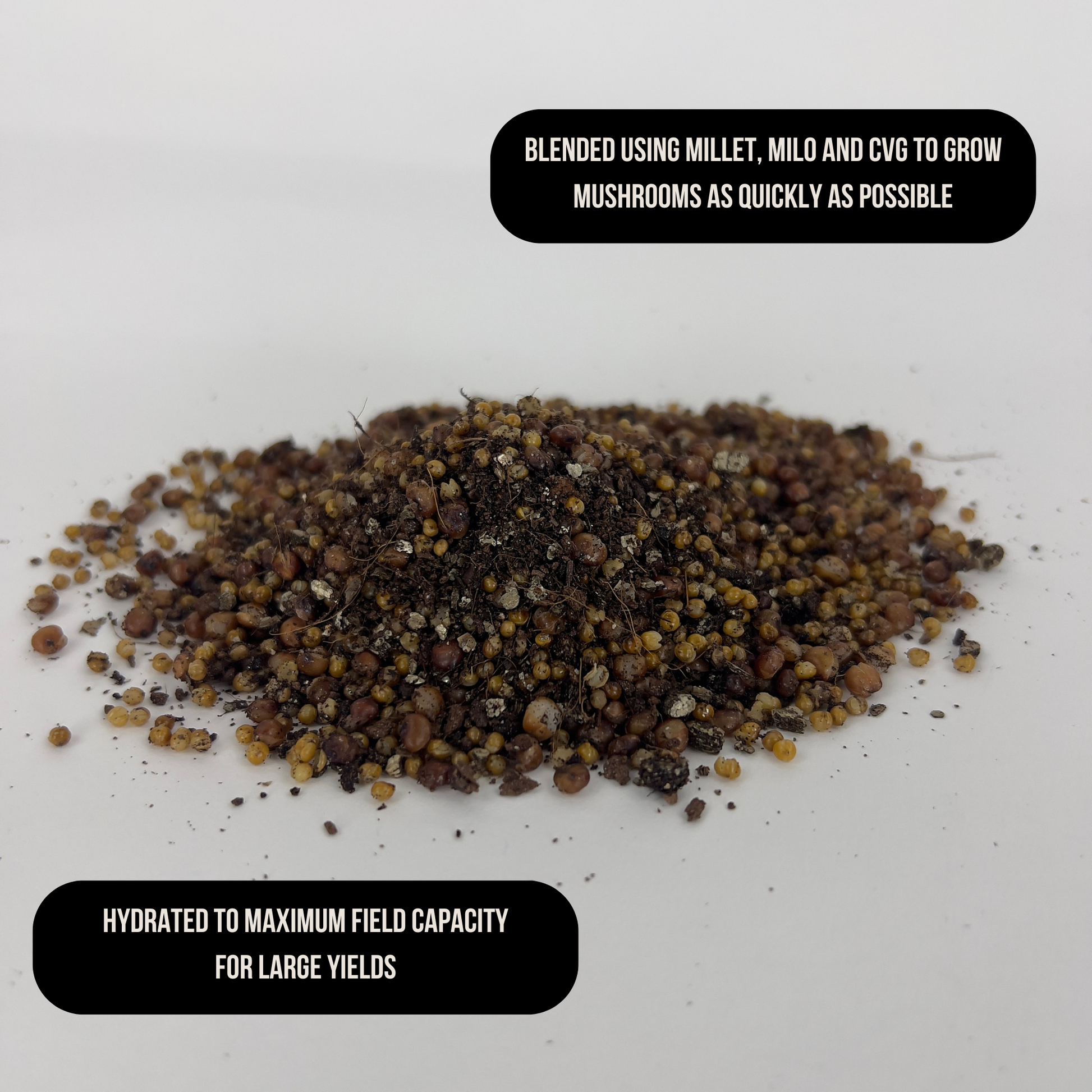 millet, milo and cvg substrate hydrated maximum field capacity, grows mushrooms quickly