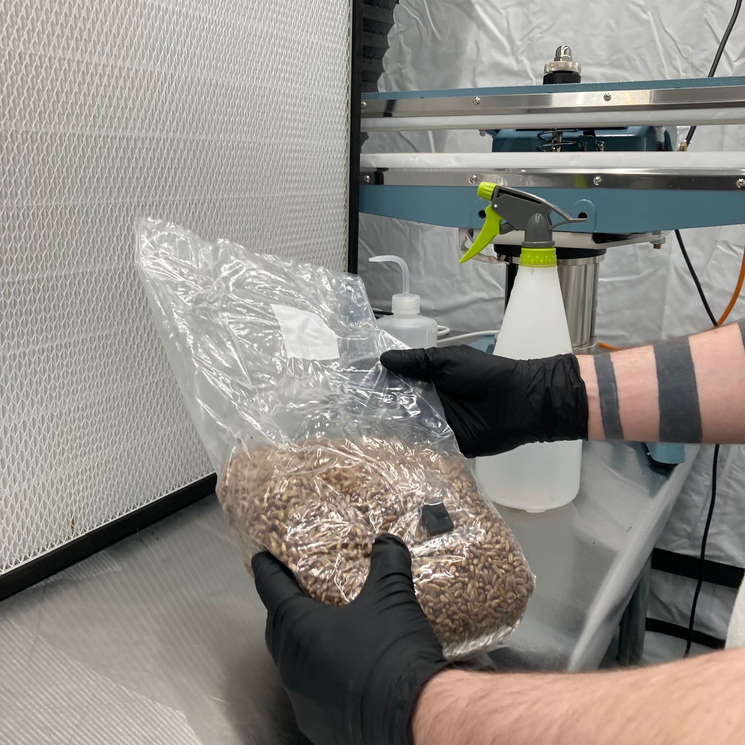 sterile grain bag