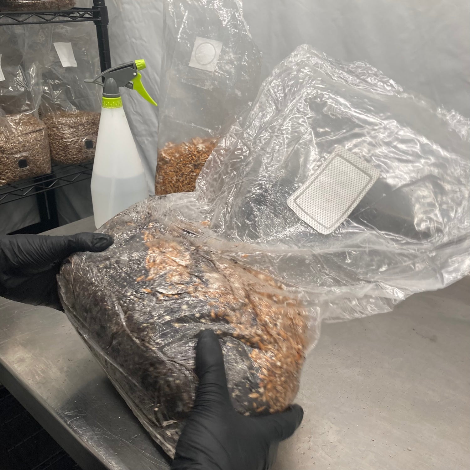 grain and bulk substrate mixing