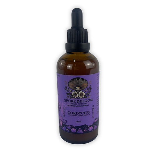 A bottle of Organic UK-Grown Cordyceps Mushroom Tincture by Spore & Bloom with a purple label, dropper, and containing dried cordyceps fruiting body mushroom extract tincture.