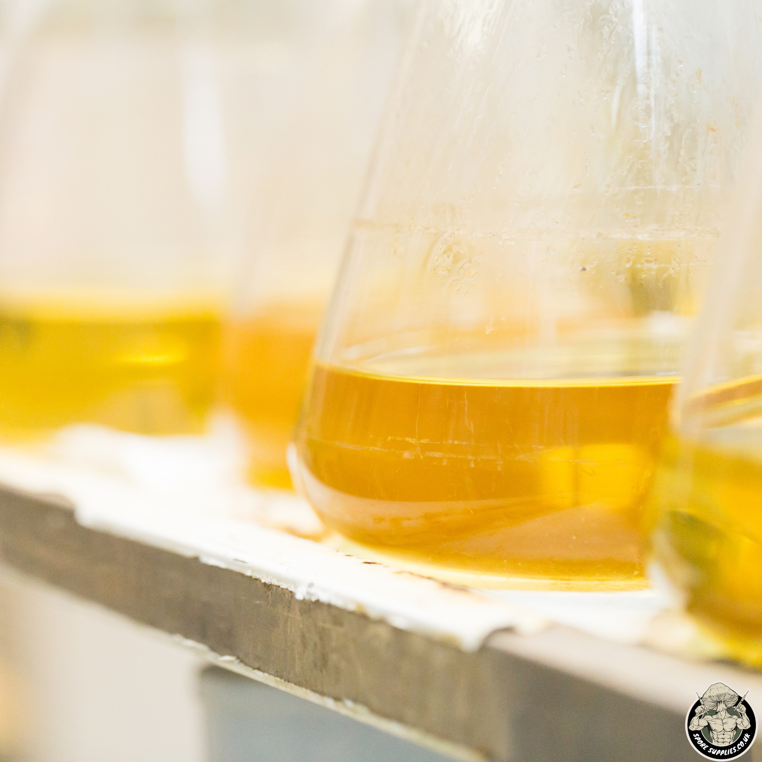 flasks containing sterile liquid media