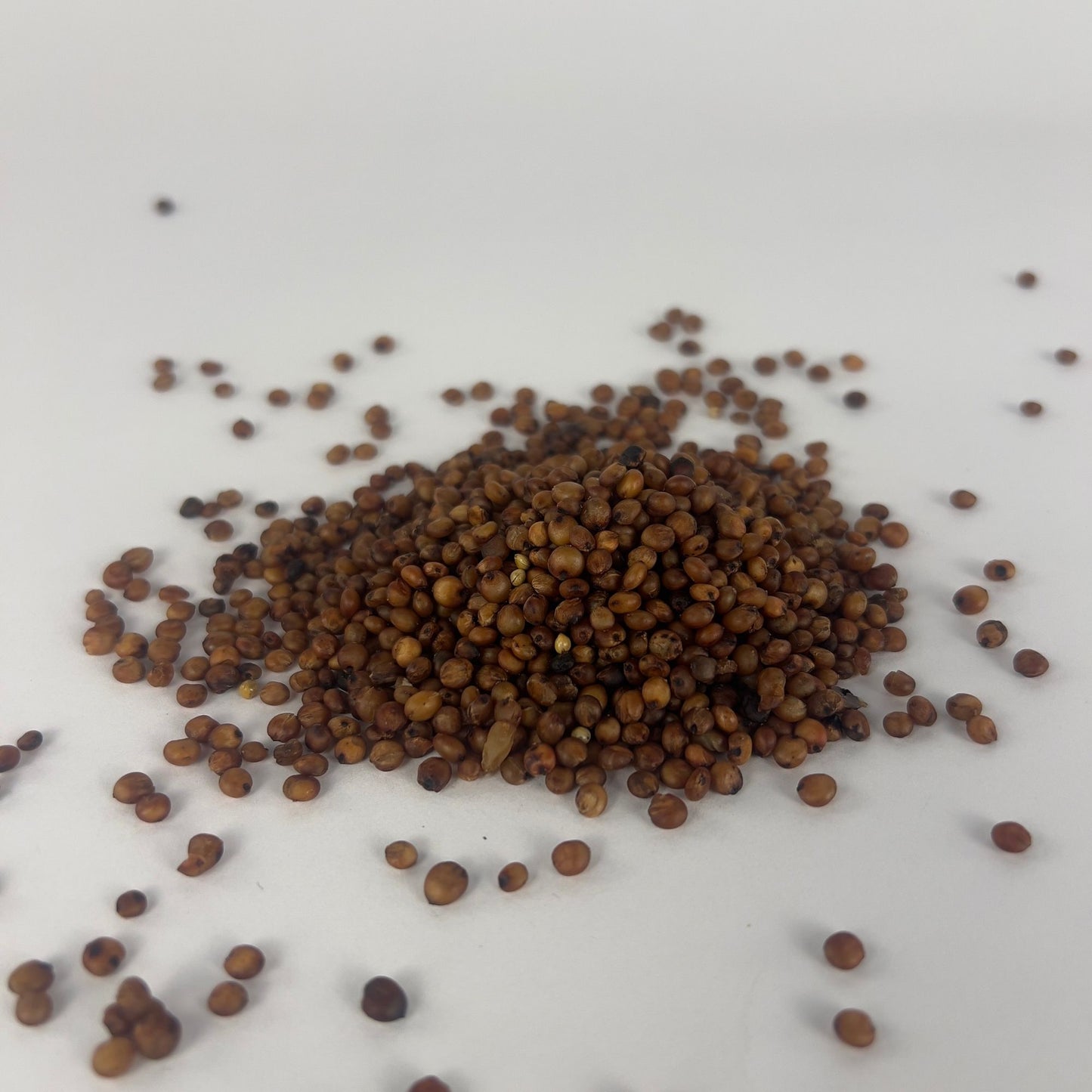A pile of brown milo grain on a white background, surrounded by scattered grains.