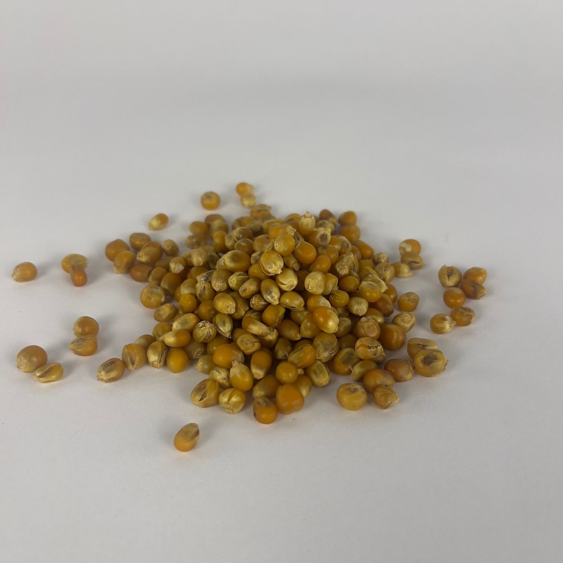 a pile of sterile popcorn grains on a white background