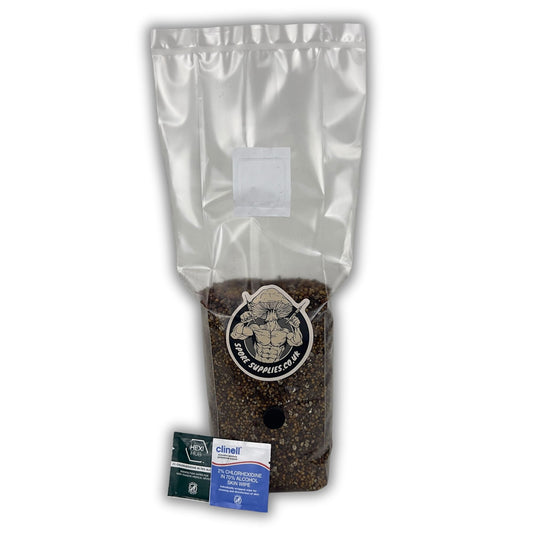 sterile bag of all in one substrate and grain mix for mushroom cultivation by spore supplies