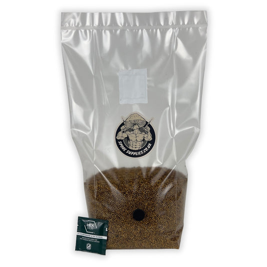 a bag of sterile millet grain by spore supplies for mushroom cultivation
