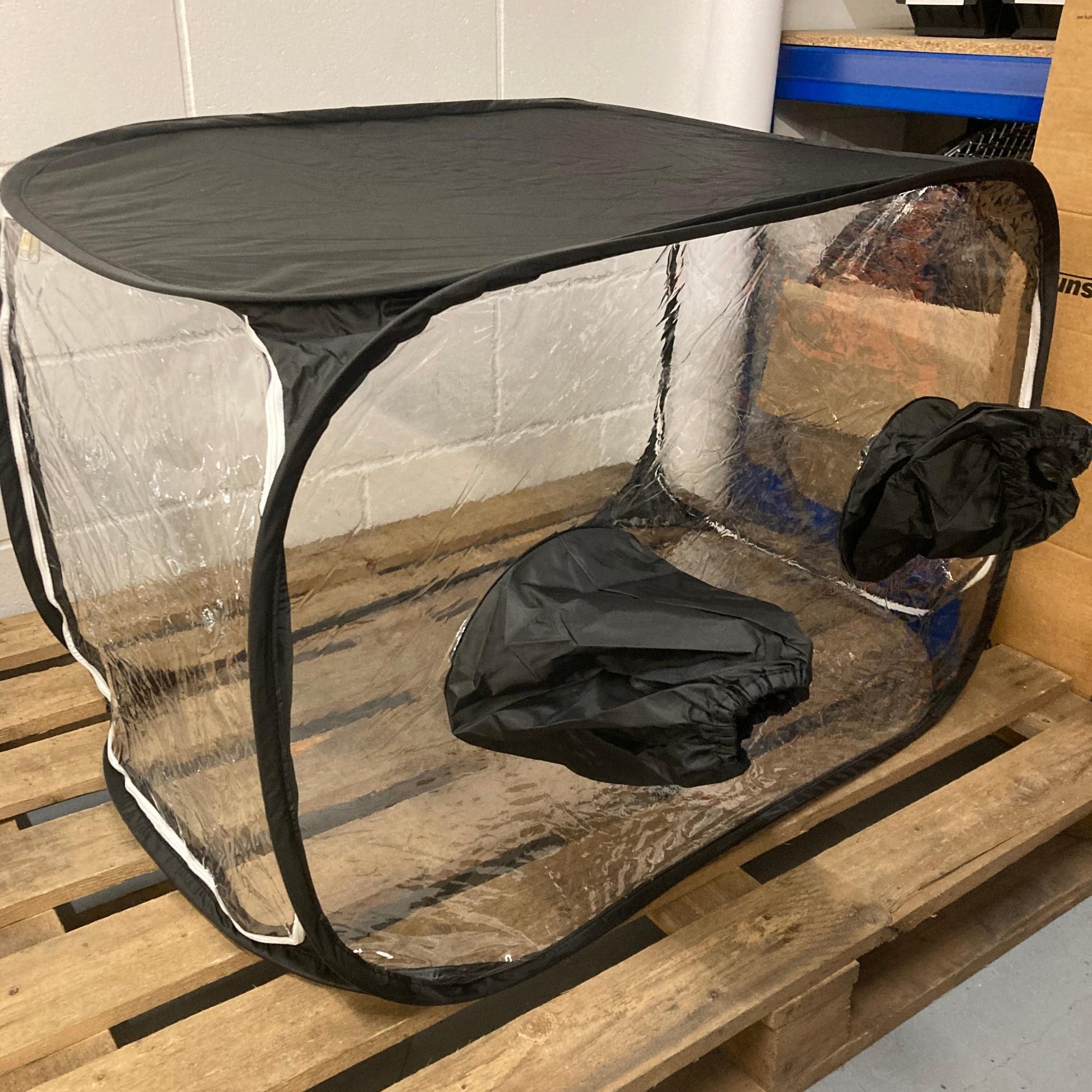 A clear plastic still air box with a black cover, placed on a wooden surface, used for mushroom cultivation or mycology work.