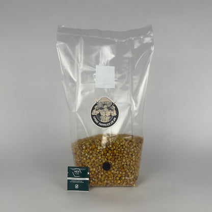 Sterile Popcorn Grain Bag