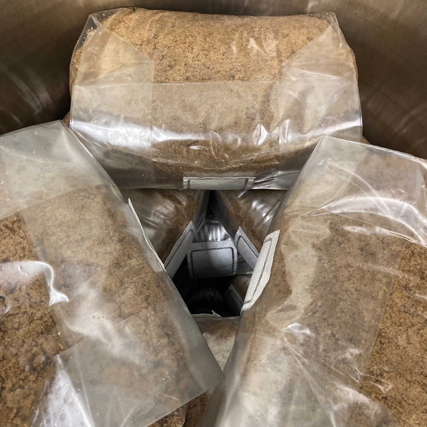 10 x 4kg Masters Mix HWFP/Soy hull pellet mushroom substrate blocks in XLS-B Unicorn bags