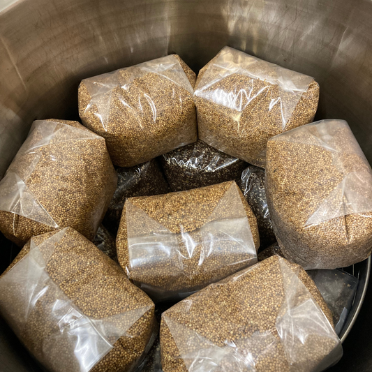 10 x 1.5kg sterile millet grain in 10T Unicorn mushroom bags with injection ports