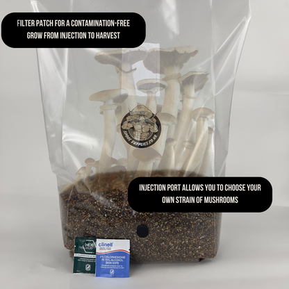 3kg All In One Ready To Inoculate Mushroom Grow Bag – Inject & Forget