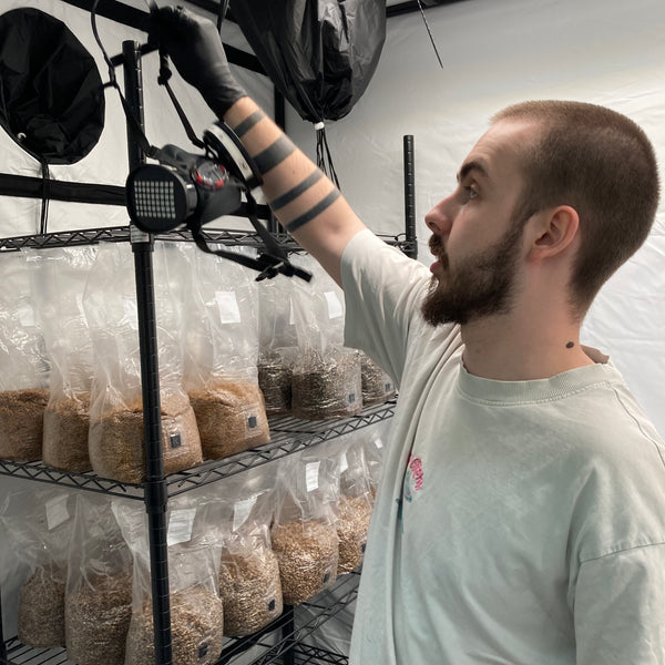 Louis Philogene-Cummings inside the Spore Supplies lab with sterile grain bags on shelves