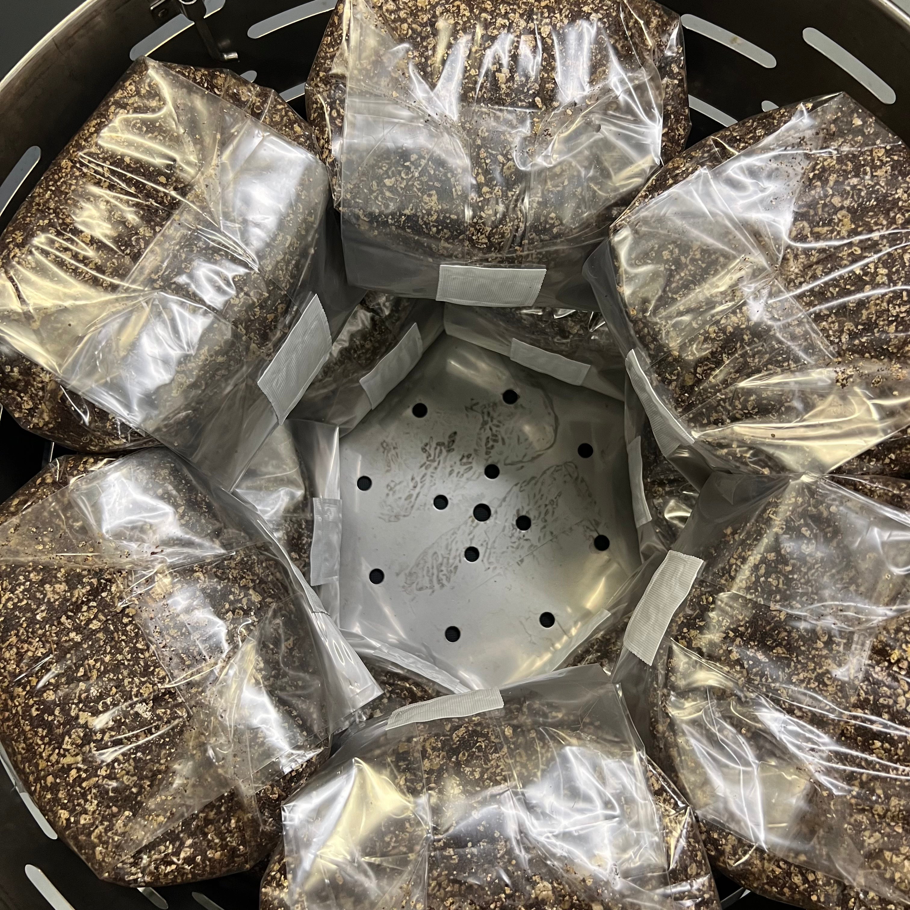 all-in-one mushroom growing bags in autoclave baskets ready for sterilisation 