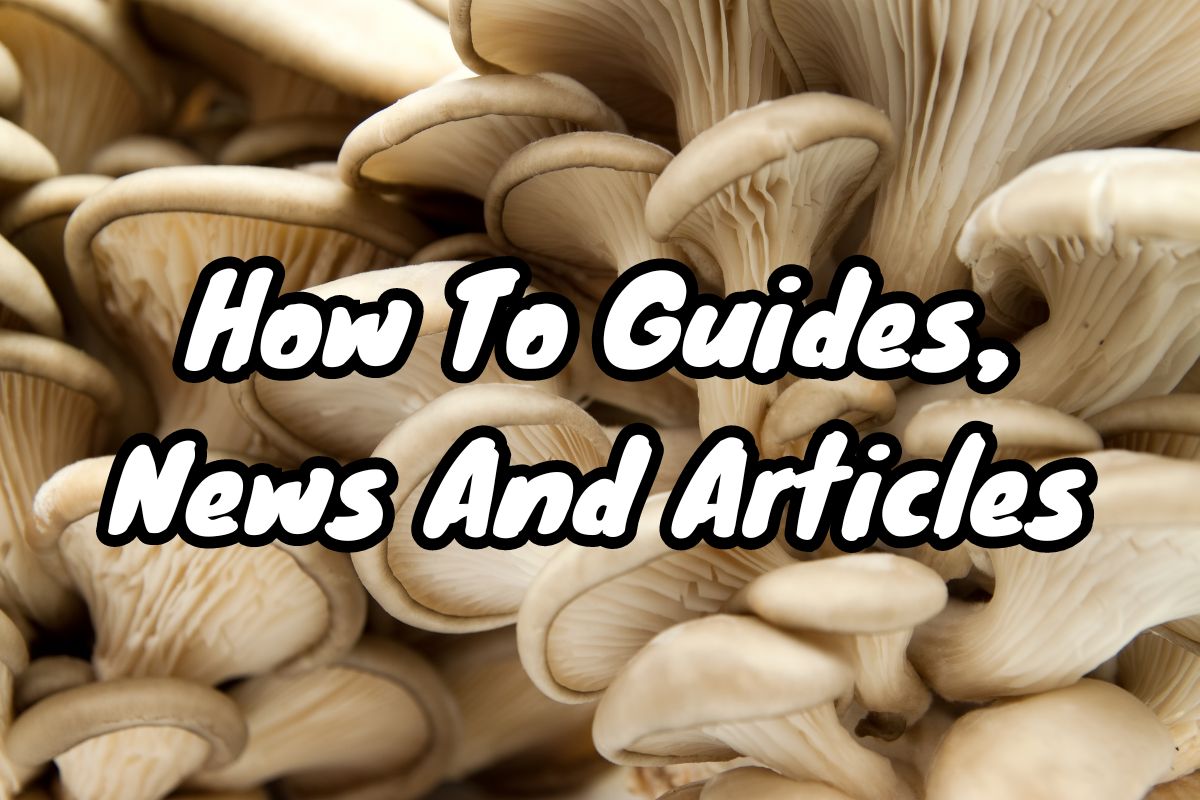 Spore Supplies Mushroom Guides News Articles