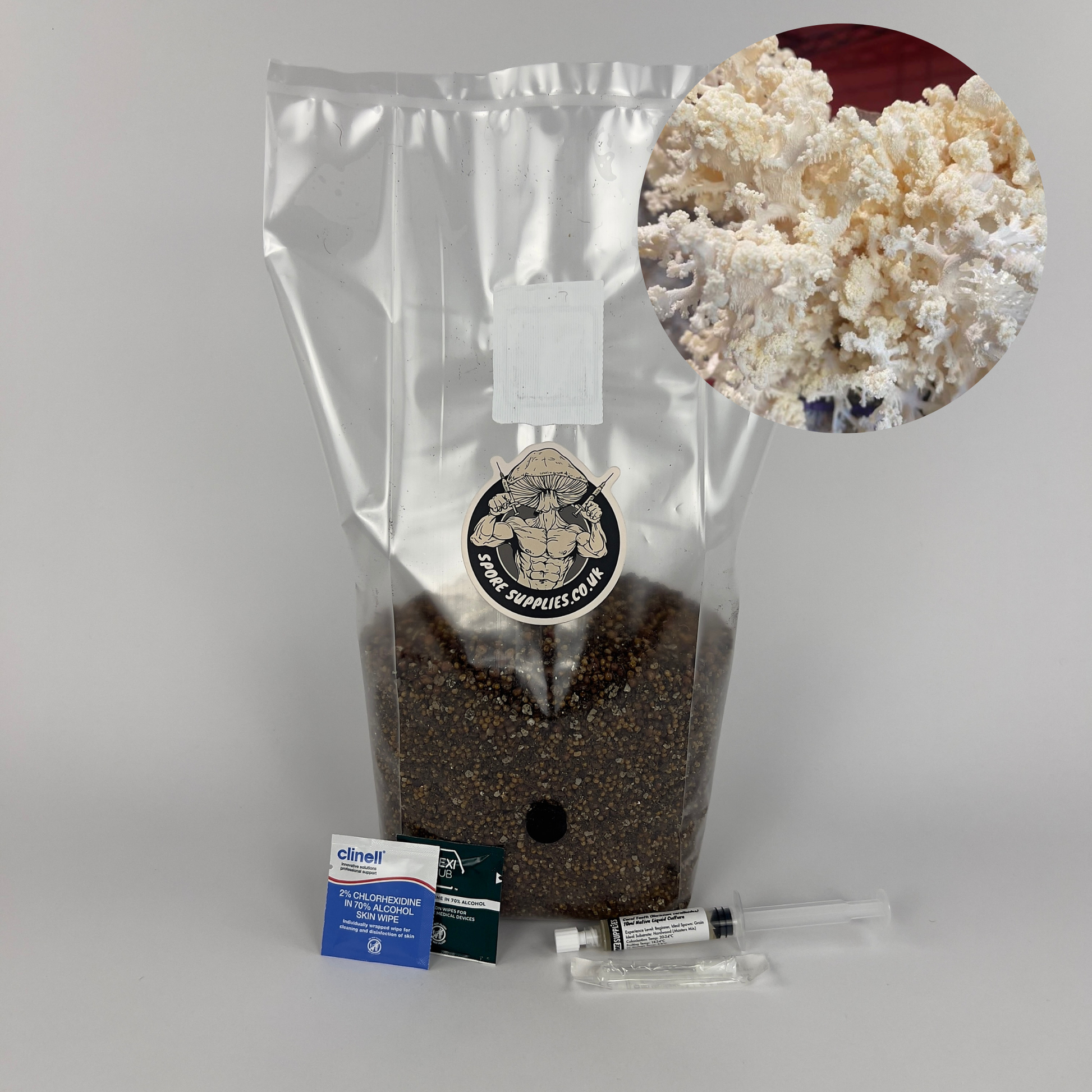 coral tooth (Hericium coralloides) mushroom grow kit, coral tooth liquid culture and sterile grow bag