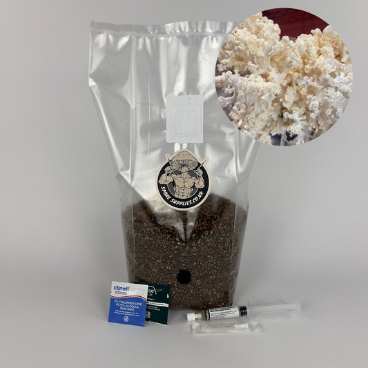 coral tooth (Hericium coralloides) mushroom grow kit, coral tooth liquid culture and sterile grow bag