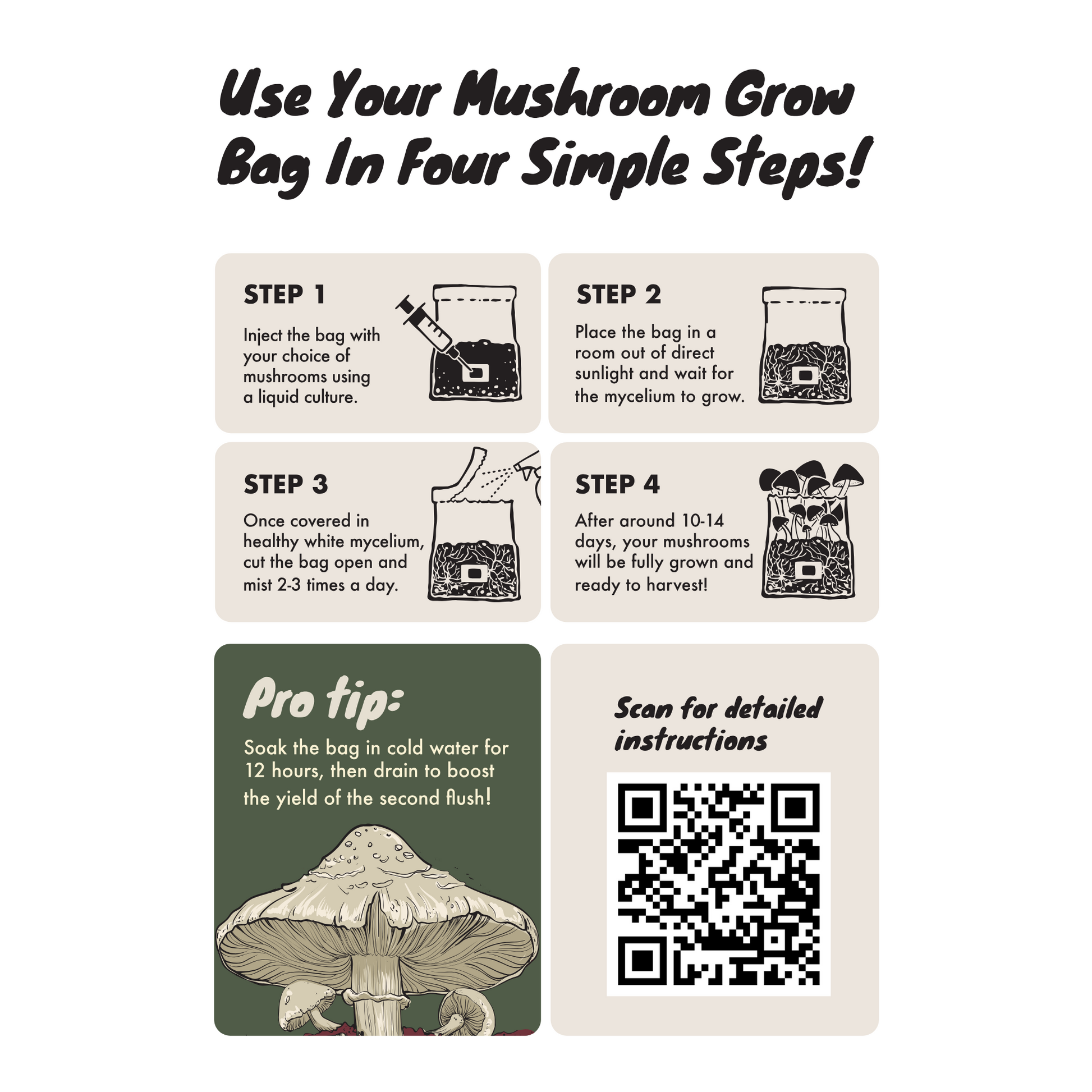 four step quick instruction sheet for using all in one mushroom grow bag