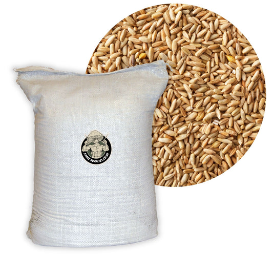 White bag of rye grain seeds with a close-up of rye grain seeds on a white background