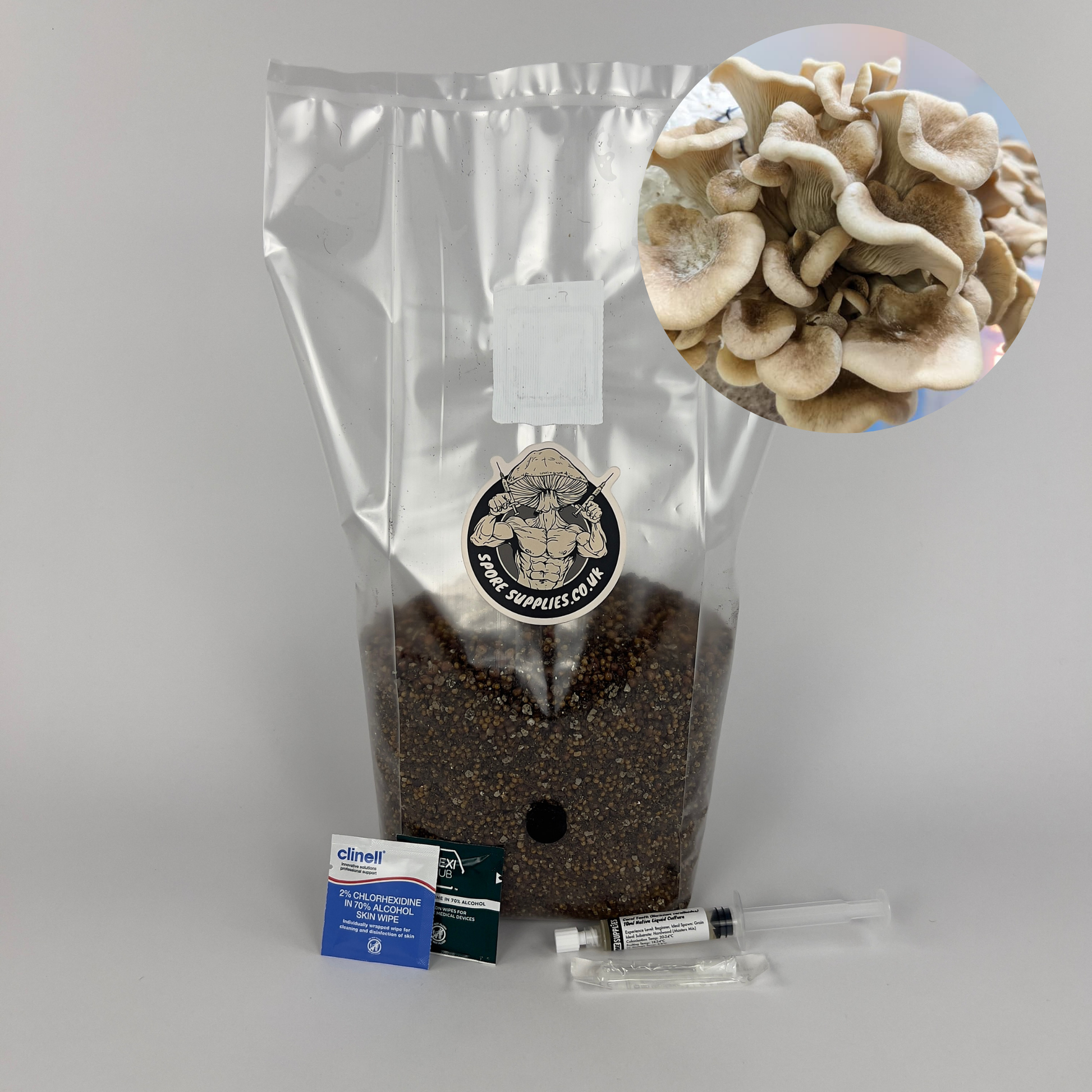 tarragon oyster (Pleurotus eunosmus) mushroom grow kit with tarragon oyster liquid culture and sterile mushroom grow bag