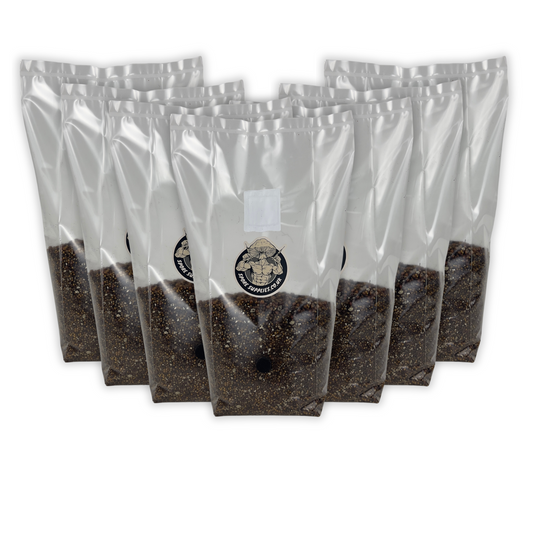 Wholesale 1.5kg All In One Mushroom Grow Bags for Mushroom Cultivation