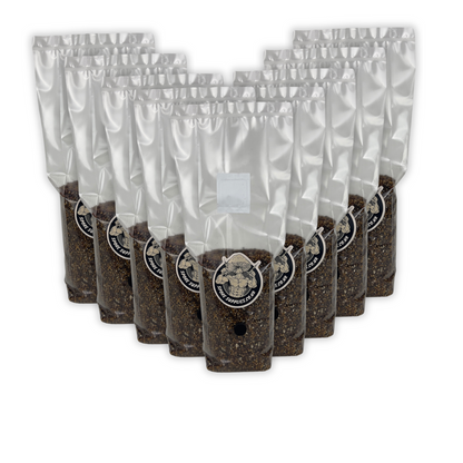 wholesale all in one mushroom grow bags