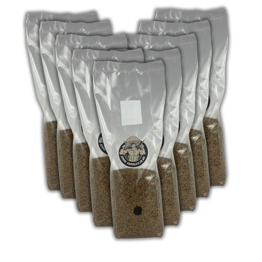 Wholesale 1kg Sterile Millet Grain Bags For Mushroom Cultivation