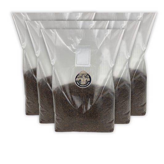 wholesale amount of 4kg masters mix bags