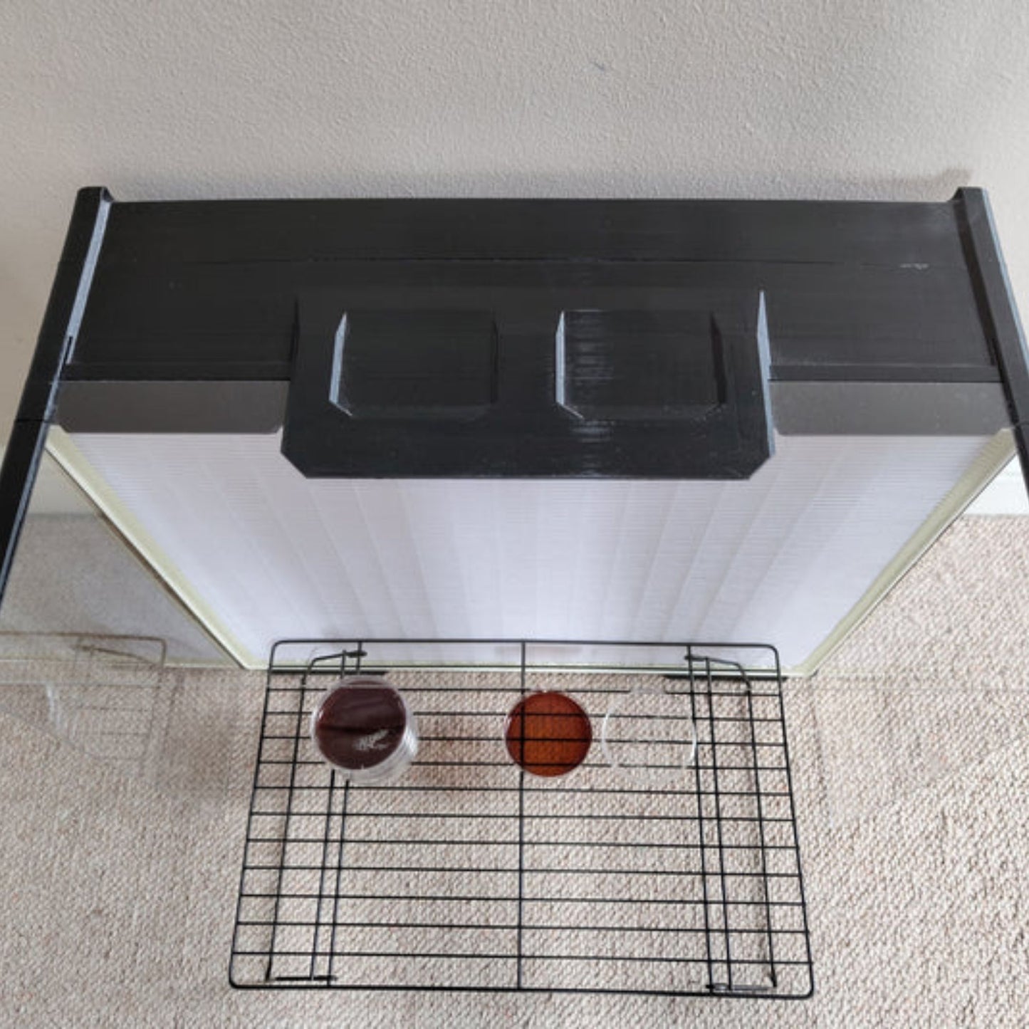 birds eye view of xl laminar flow hood by funguy equipment with working rack and agar plates