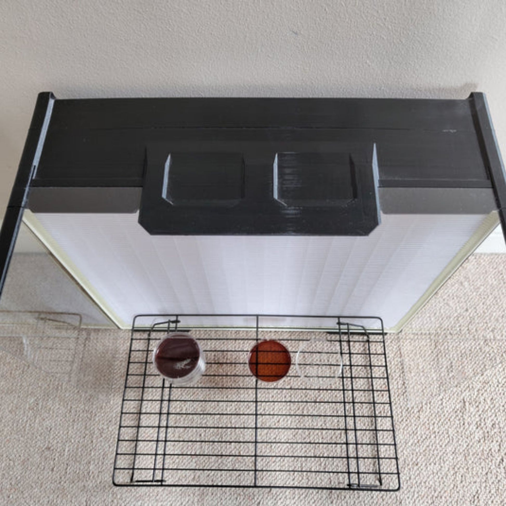 birds eye view of xl laminar flow hood by funguy equipment with working rack and agar plates