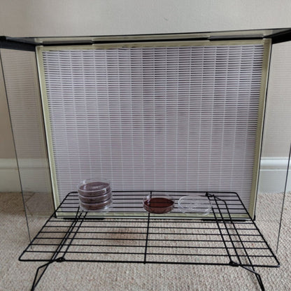 xl laminar flow hood by funguy equipment with working rack and agar plates