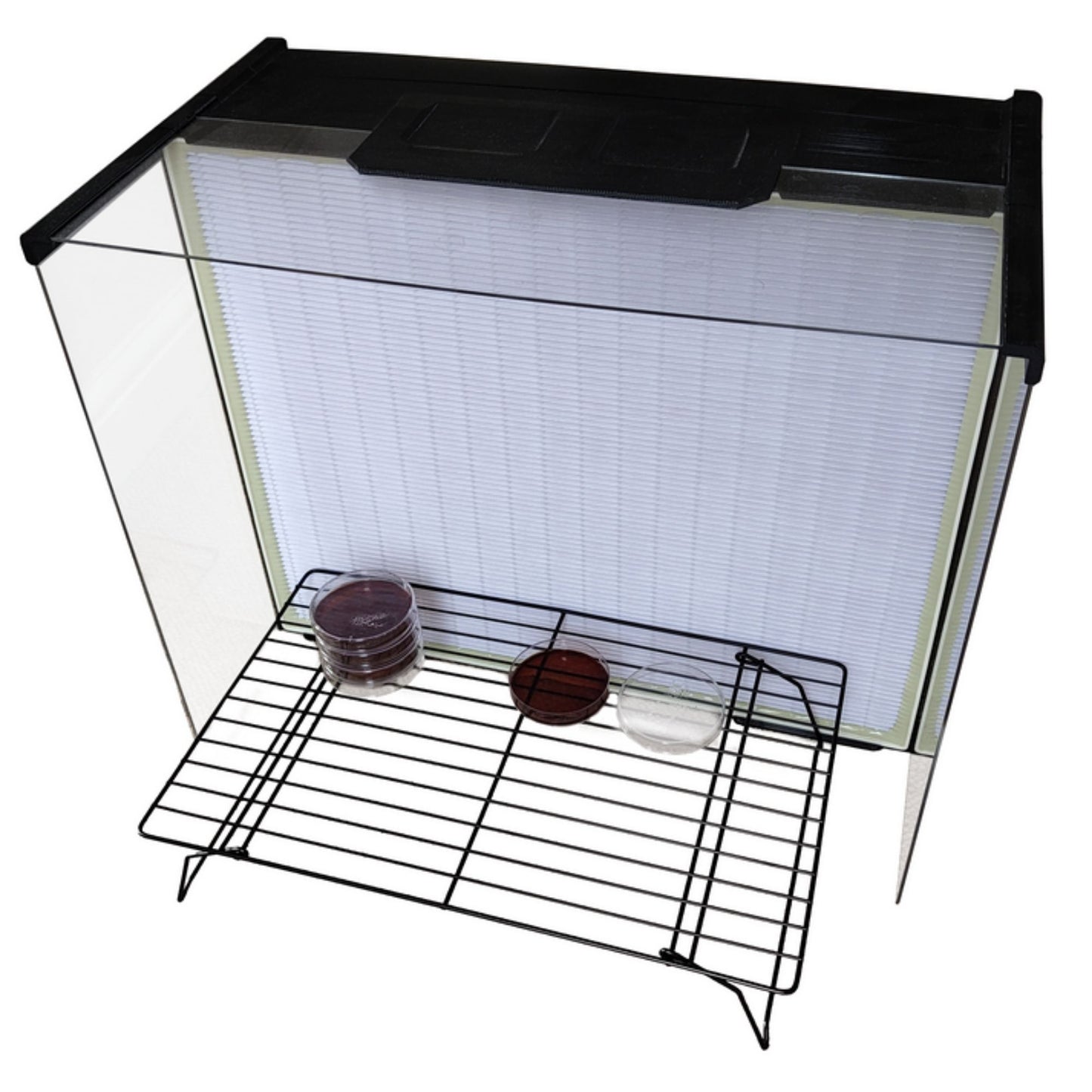 XL Laminar Flow Hood for mushroom cultivation with HEPA filtration, acrylic side and top shields, a work rack, and a pre-filter visible.